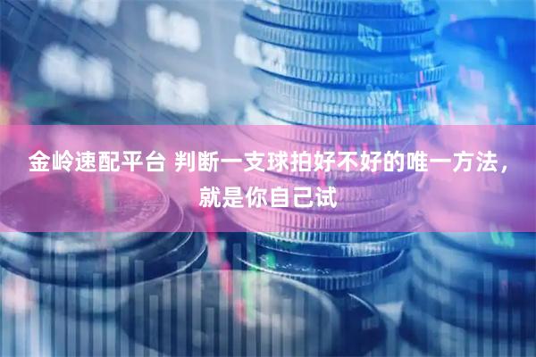 金岭速配平台 判断一支球拍好不好的唯一方法，就是你自己试