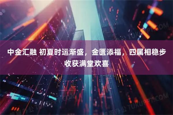 中金汇融 初夏时运渐盛，金匮添福，四属相稳步收获满堂欢喜