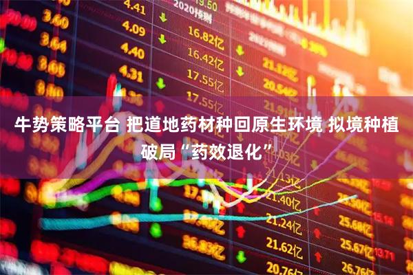 牛势策略平台 把道地药材种回原生环境 拟境种植破局“药效退化”
