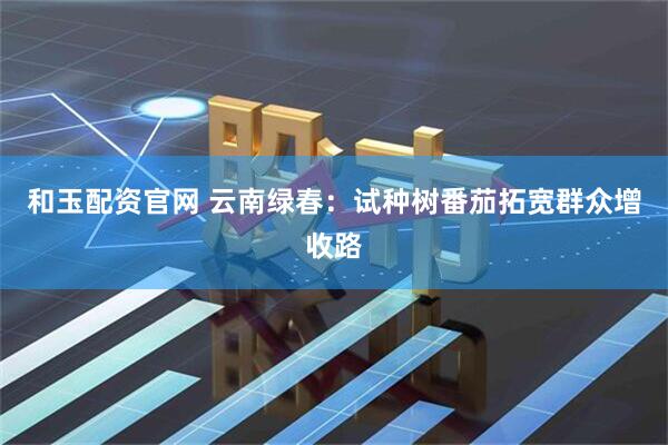 和玉配资官网 云南绿春：试种树番茄拓宽群众增收路